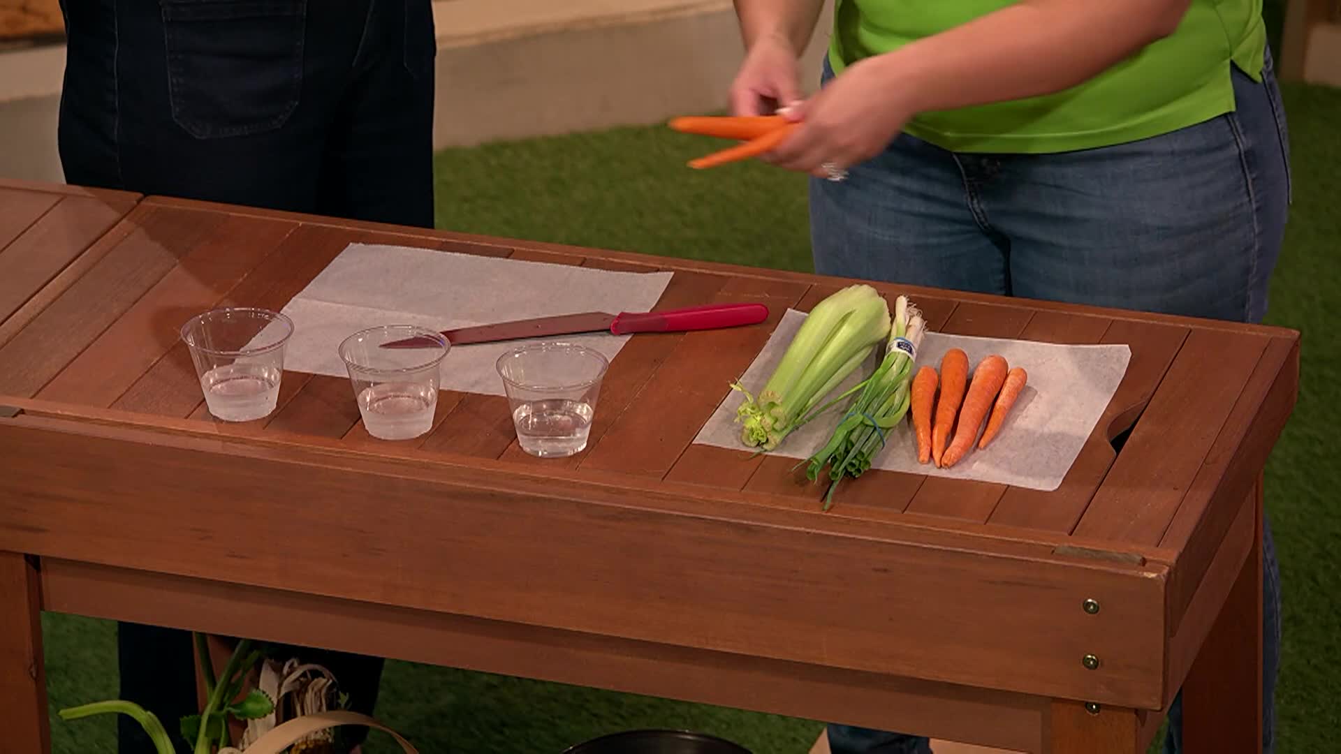 Extension Solutions-Vegetable Scrap-Part2