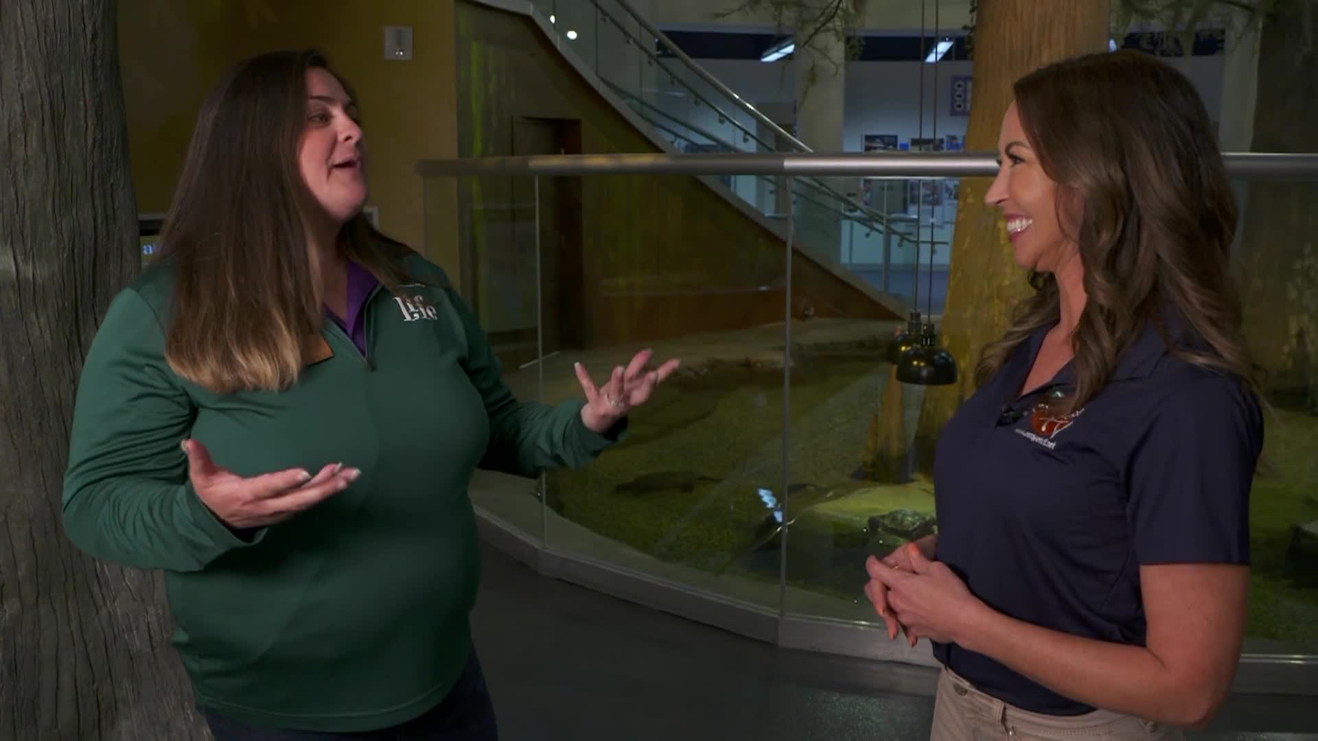 Cafe-November  2025-Week One