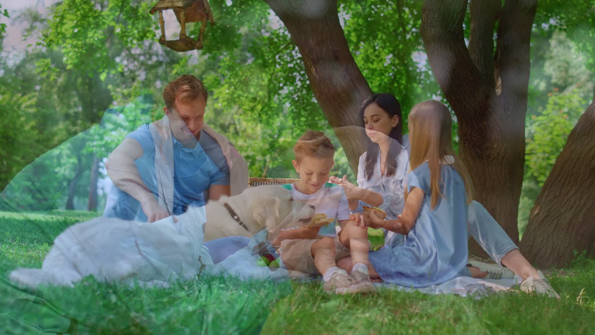 Canine Longevity Promo 30sec