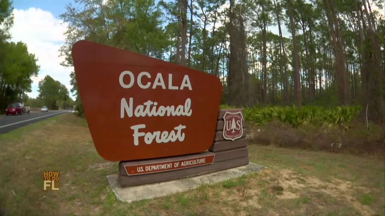 How To Do Florida403